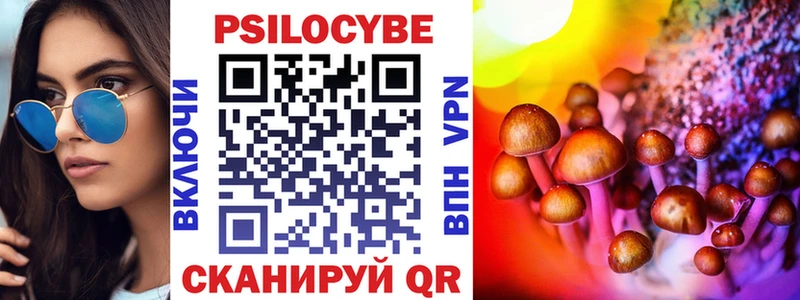 Купить где  Ипатово  Псилоцибиновые грибы Magic Shrooms 